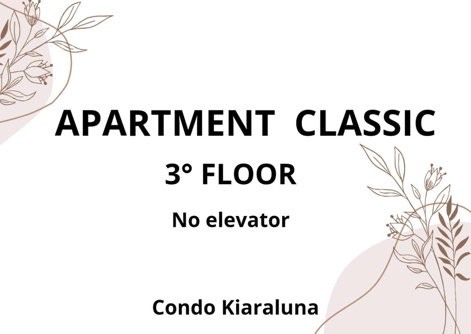 Condo Kiaraluna プレヤデルカーメン 部屋 写真